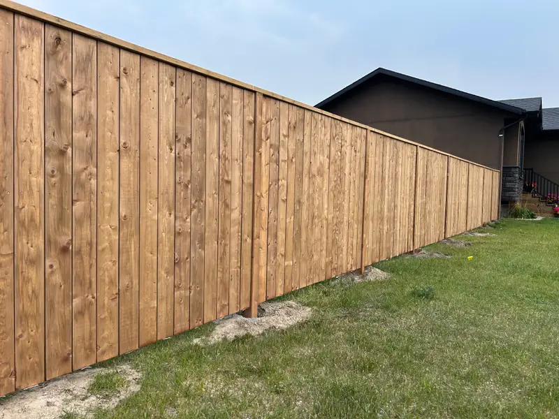 Stained Wood Privacy Fence Freshly stained vertical-board wood privacy fence with a capped top rail beside a home in Saskatoon