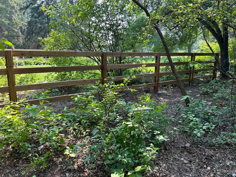 Wood Post-and-Rail Fence Three-rail wood post-and-rail fence running along a wooded garden property in Saskatoon